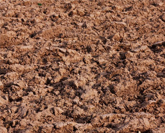 Mệnh quái Thổ ẩm, quái số 8