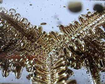 Mệnh quái Kim mềm, quái số 7