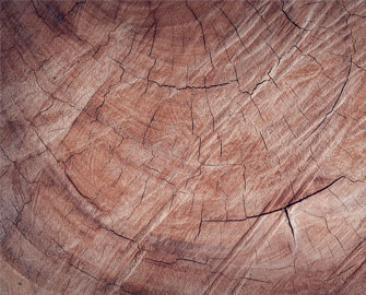 Mệnh quái Mộc cứng, quái số 3