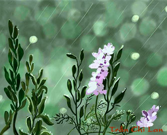 Mệnh quái Mộc mềm, quái số 4