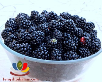 Quả mâm xôi khi chín rất mềm và ngọt