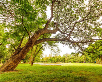 Tự xem tính cách và Vận Mệnh bằng tháng sinh theo tiết khí