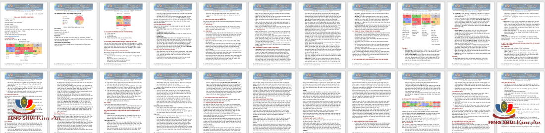 Ví dụ minh họa Định hướng Học tập nghê nghiệp hợp Tứ trụ của Mệnh chủ