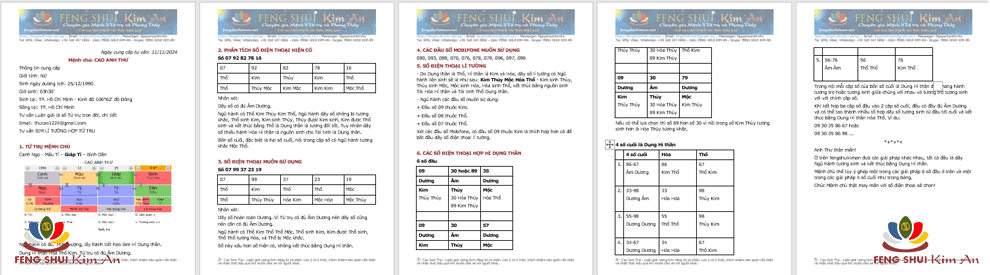 Ví dụ minh họa chọn số SIM hợp Dụng HỈ thần Tứ trụ của Mệnh chủ