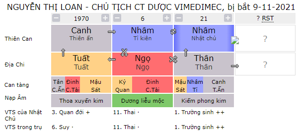 Tứ trụ Nguyễn Thị Loan, Chủ tịch CT Dược Vimedimec