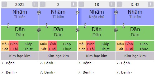Lá số Tứ trụ toàn Nhâm Dần